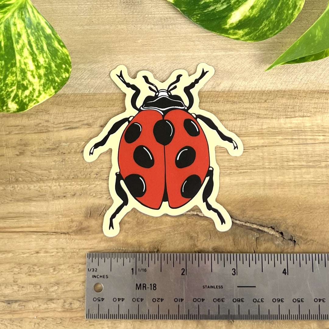 Ladybug Sticker – Campmor