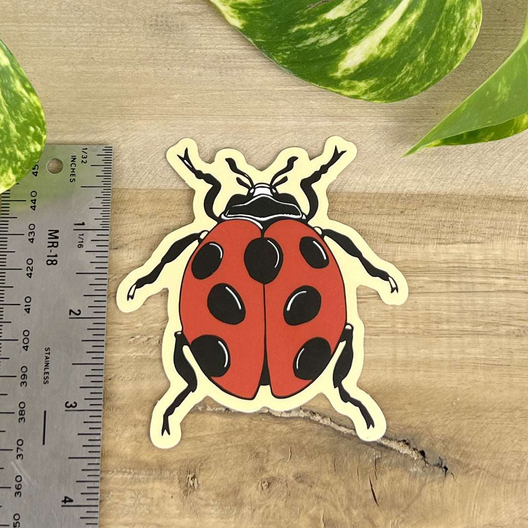 Ladybug Sticker