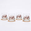 Set of 4 bison whiskey glasses on coasters and a white background.