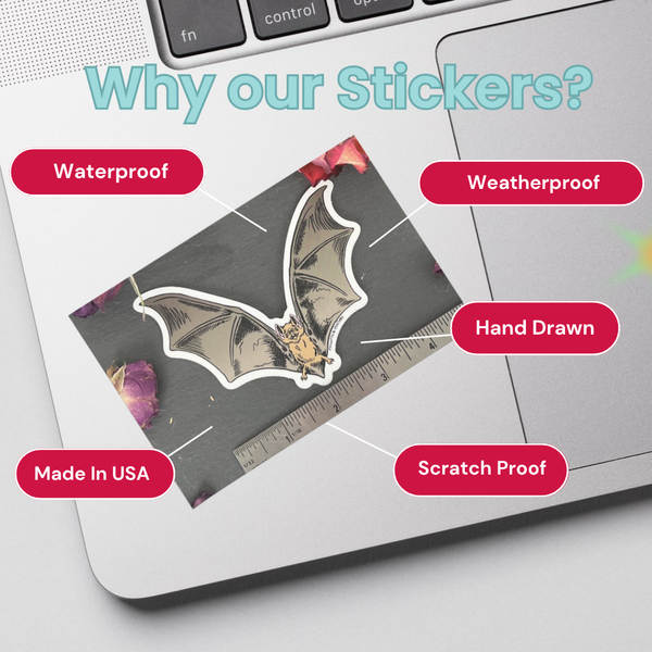 Hand drawn bat sticker on laptop, weatherproof, waterproof, scratch proof, made in USA.