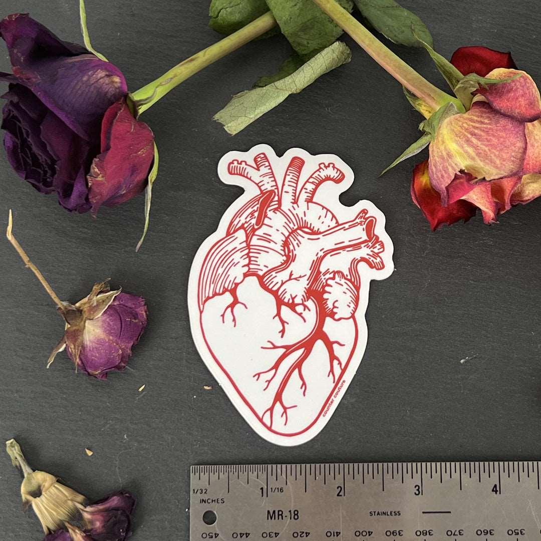 Anatomical Heart Sticker - Counter Couture