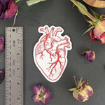 Anatomical Heart Sticker - Counter Couture