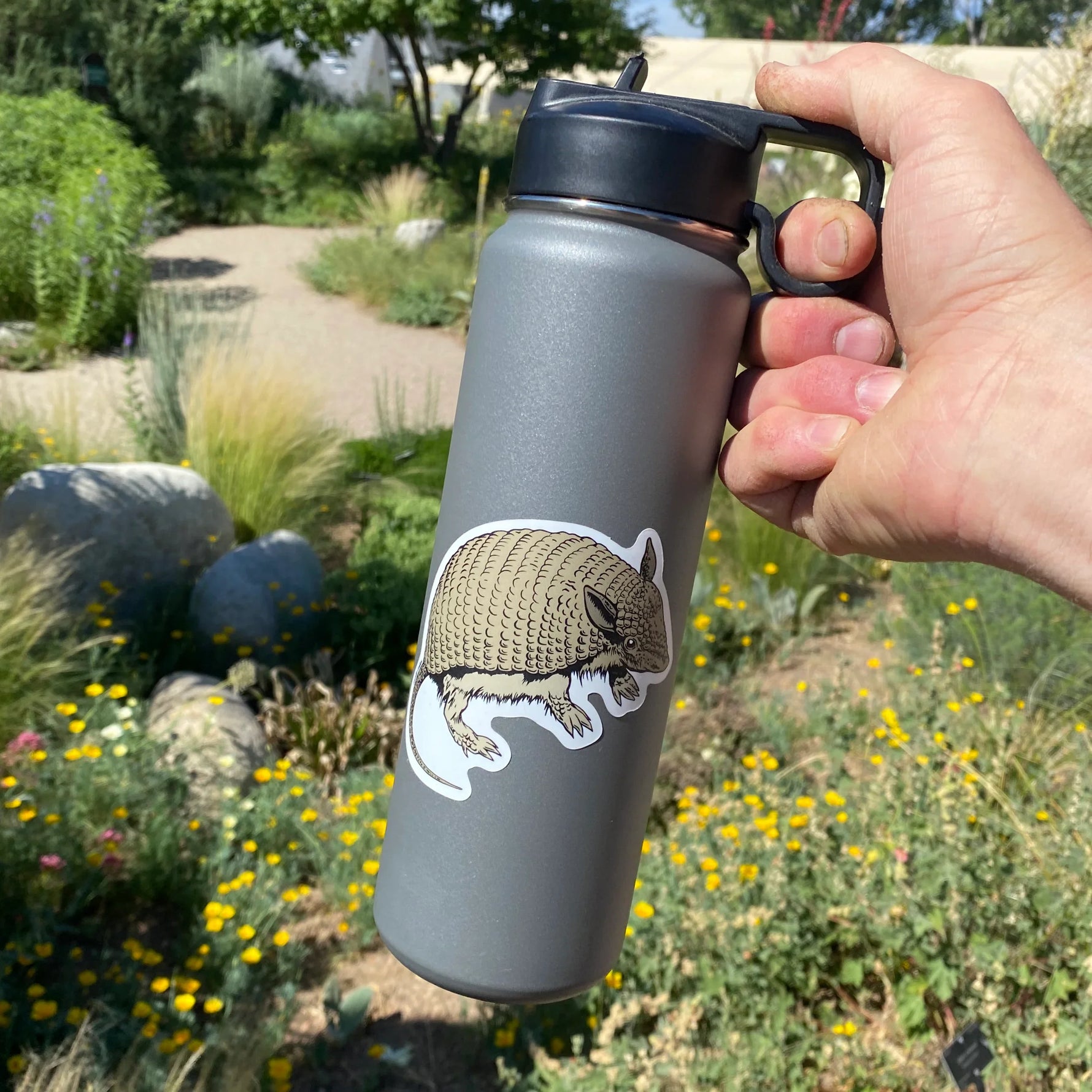 Armadillo Sticker - Counter Couture