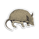 Armadillo Sticker - Counter Couture