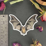 Bat Sticker - Counter Couture