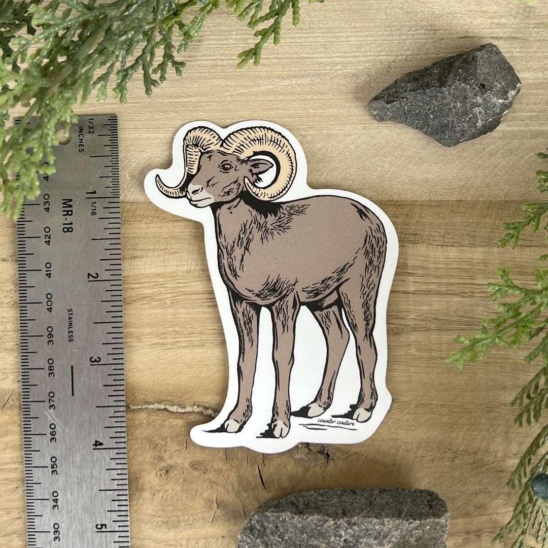 Bighorn Sheep Sticker - Counter Couture