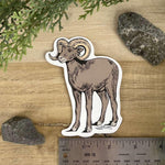 Bighorn Sheep Sticker - Counter Couture