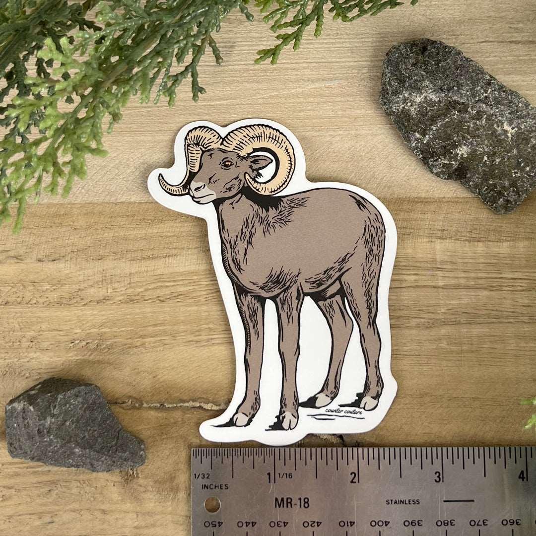 Bighorn Sheep Sticker - Counter Couture