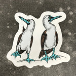 Boobie Sticker - Blue Footed Boobie Bird Funny Body Sticker Art Decal - Counter Couture