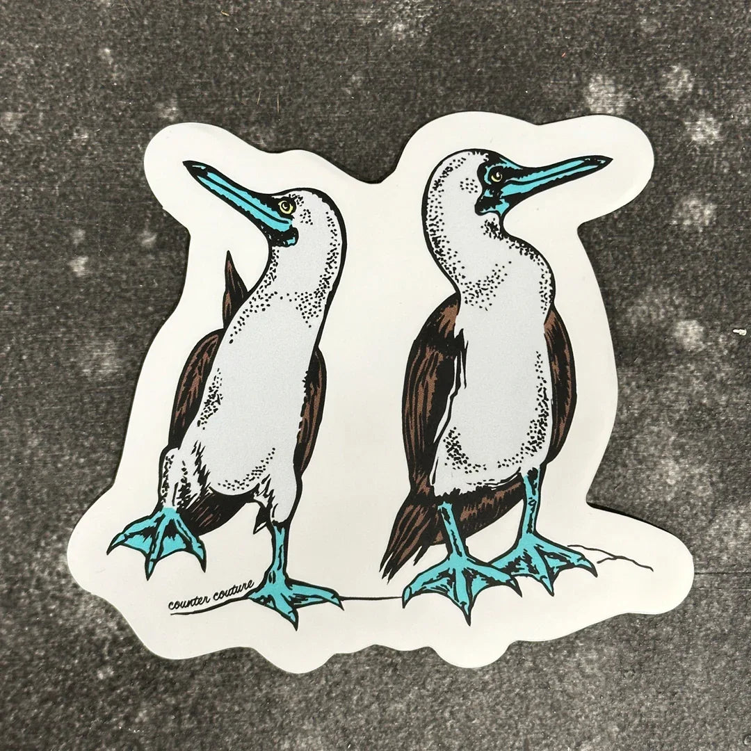 Boobie Sticker - Blue Footed Boobie Bird Funny Body Sticker Art Decal - Counter Couture