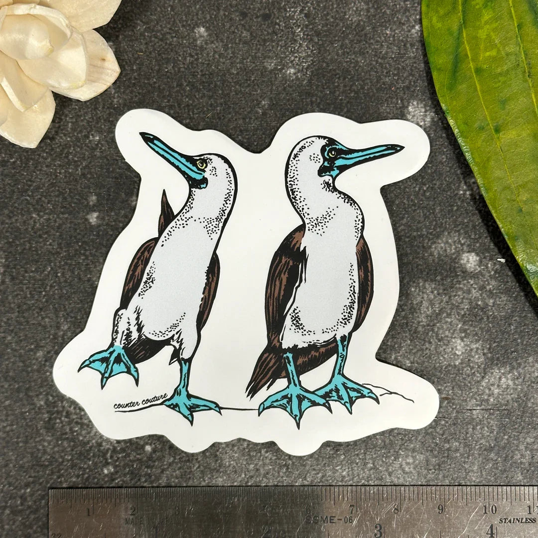 Boobie Sticker - Blue Footed Boobie Bird Funny Body Sticker Art Decal - Counter Couture