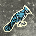 Bluejay Sticker - Weatherproof Vinyl Decal for Water Bottles & Laptops - Counter Couture