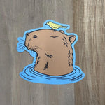 Capybara Sticker - Counter Couture