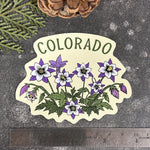 Colorado Columbine Sticker – Waterproof Vinyl Decal For Outdoor Adventure Gear - Counter Couture