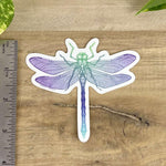 Dragonfly Die Cut Sticker - Counter Couture
