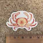 Dungeness Crab Sticker - Red - Counter Couture