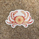 Dungeness Crab Sticker - Red - Counter Couture