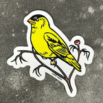 Goldfinch Sticker – Weatherproof Vinyl Decal With Durable Adhesive, Matte Finish - Counter Couture