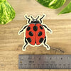 Ladybug Sticker