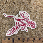 Lobster Sticker - Counter Couture