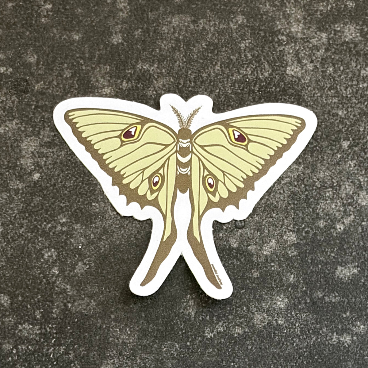 Luna Moth Die Cut Sticker