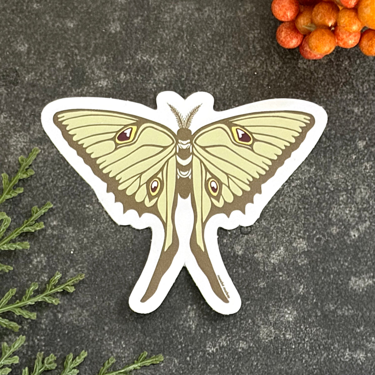 Luna Moth Die Cut Sticker