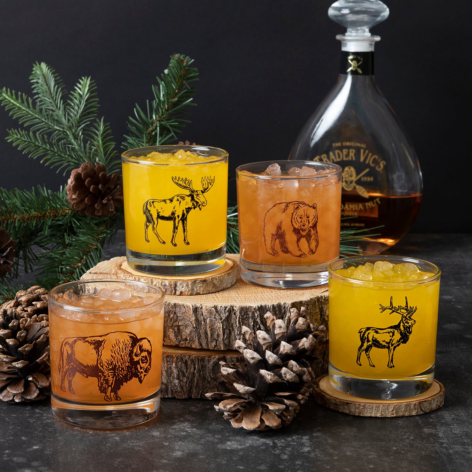 National Park Rocks Glass Set of 4 Lead-Free 11 oz Whiskey Glasses with Wildlife Prints