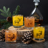 National Park Rocks Glass Set of 4 Lead-Free 11 oz Whiskey Glasses with Wildlife Prints