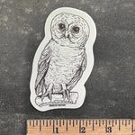 Owl Sticker - Counter Couture
