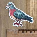 Pigeon Sticker – Premium Vinyl Decal, Weatherproof Scratch Proof Design - Counter Couture