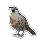 Quail Sticker - Counter Couture