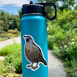 Quail Sticker - Counter Couture