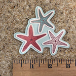 Sea Star Sticker - Counter Couture