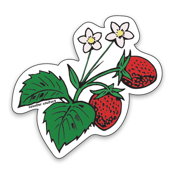 Strawberry Sticker – Cute Fruit Vinyl Decal – Strawberry Aesthetic – Farmer’s Market Sticker – Summer Fruit Laptop Sticker – Foodie Gift