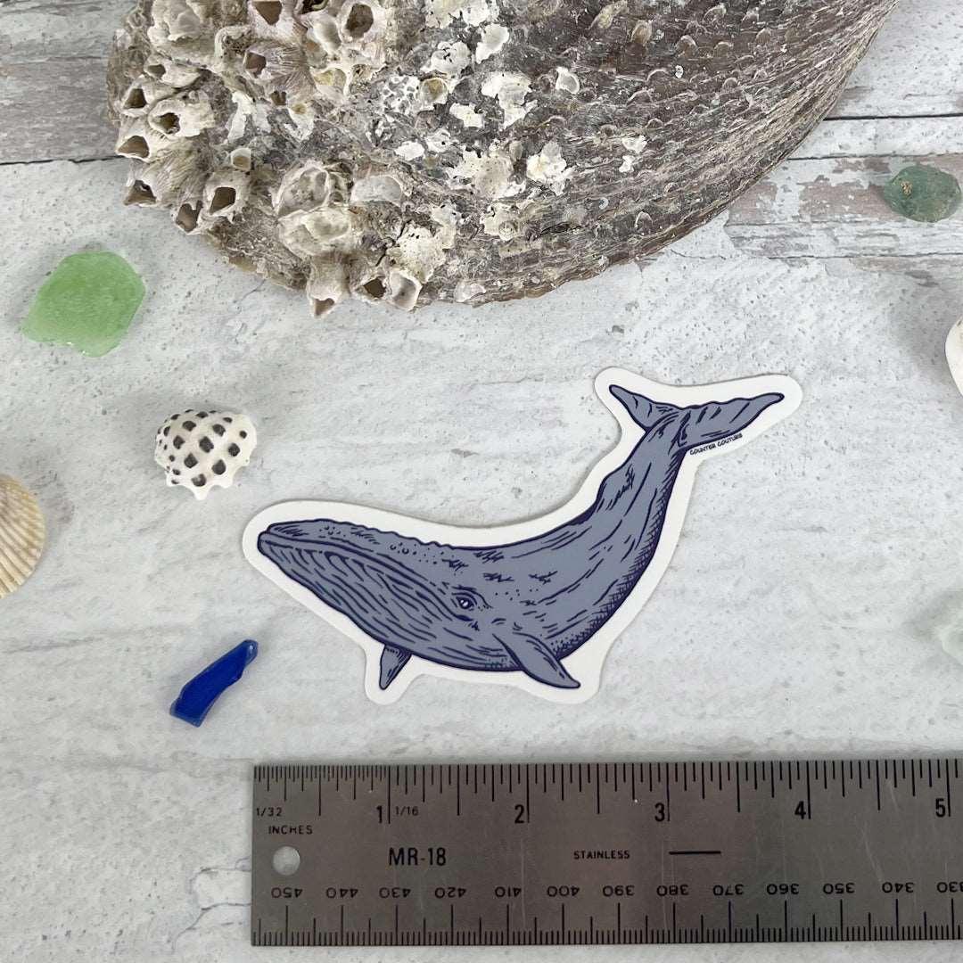 Blue Whale Sticker - Counter Couture