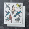 Bird themed Swedish dishcloth featuring illustrations of various birds such as Catbird, Hummingbird, Goldfinch, Cardinal, and Blue Jay. Perfect for versatile cleaning tasks. By Counter Couture.