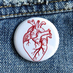 Anatomical heart illustration button pin on blue denim fabric