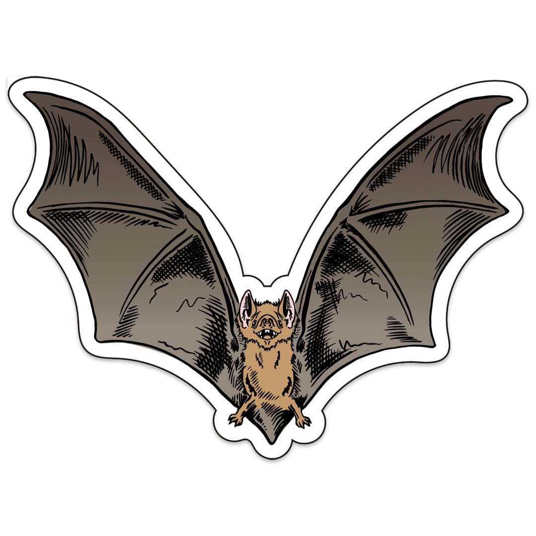 Cute Bat Stickers from Counter Couture Made of Vinyl