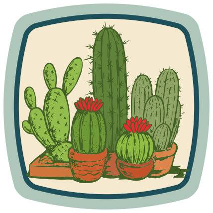 Colorful illustrated cactus sticker featuring potted cacti with red flowers
