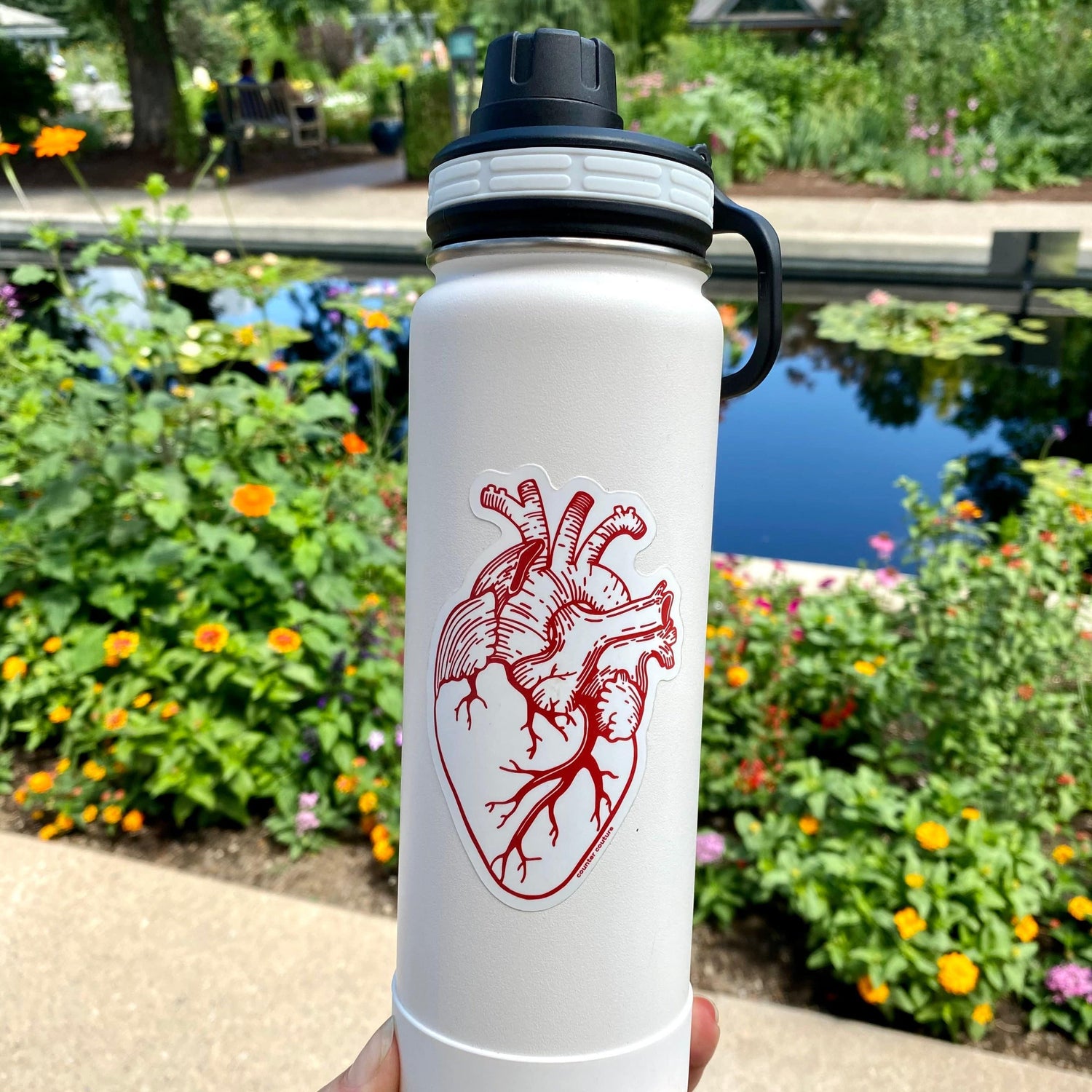 Anatomical Heart Sticker - Counter Couture