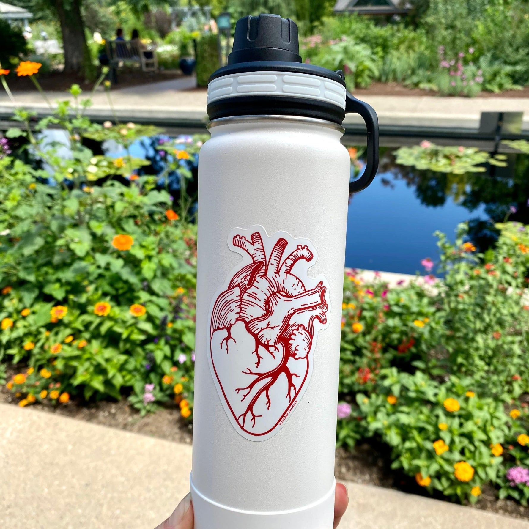 Anatomical Heart Sticker - Counter Couture