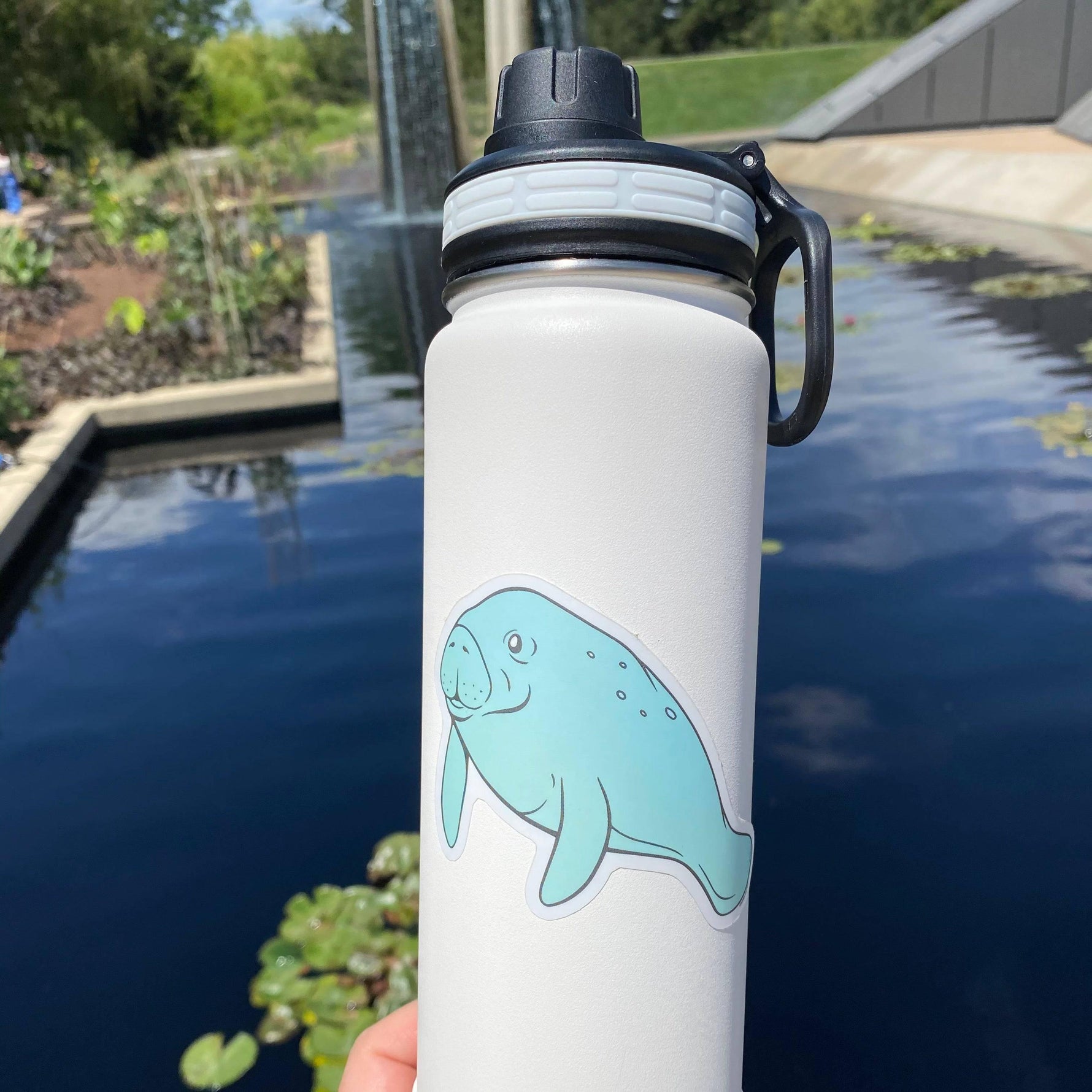 Manatee Sticker - Counter Couture