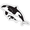 Orca Whale Sticker - Counter Couture