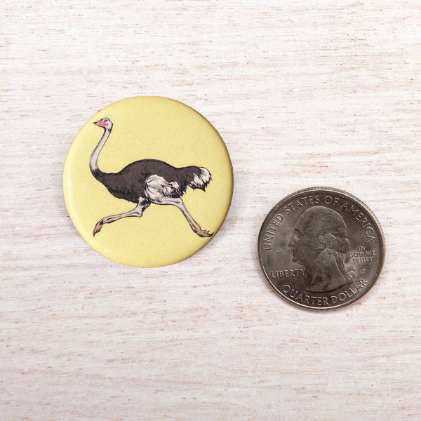 Ostrich Button Pin - Counter Couture