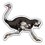 Ostrich Sticker - Counter Couture