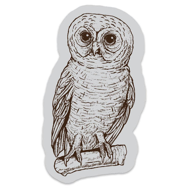 Owl Sticker - Counter Couture