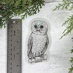 Owl Sticker - Counter Couture