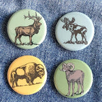 Set of four animal buttons with elk, moose, bison, and ram designs on denim fabric