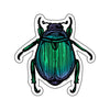 Scarab Beetle Sticker - Counter Couture