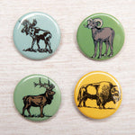 Set of four illustrated animal buttons featuring moose, bighorn sheep, elk, and bison.